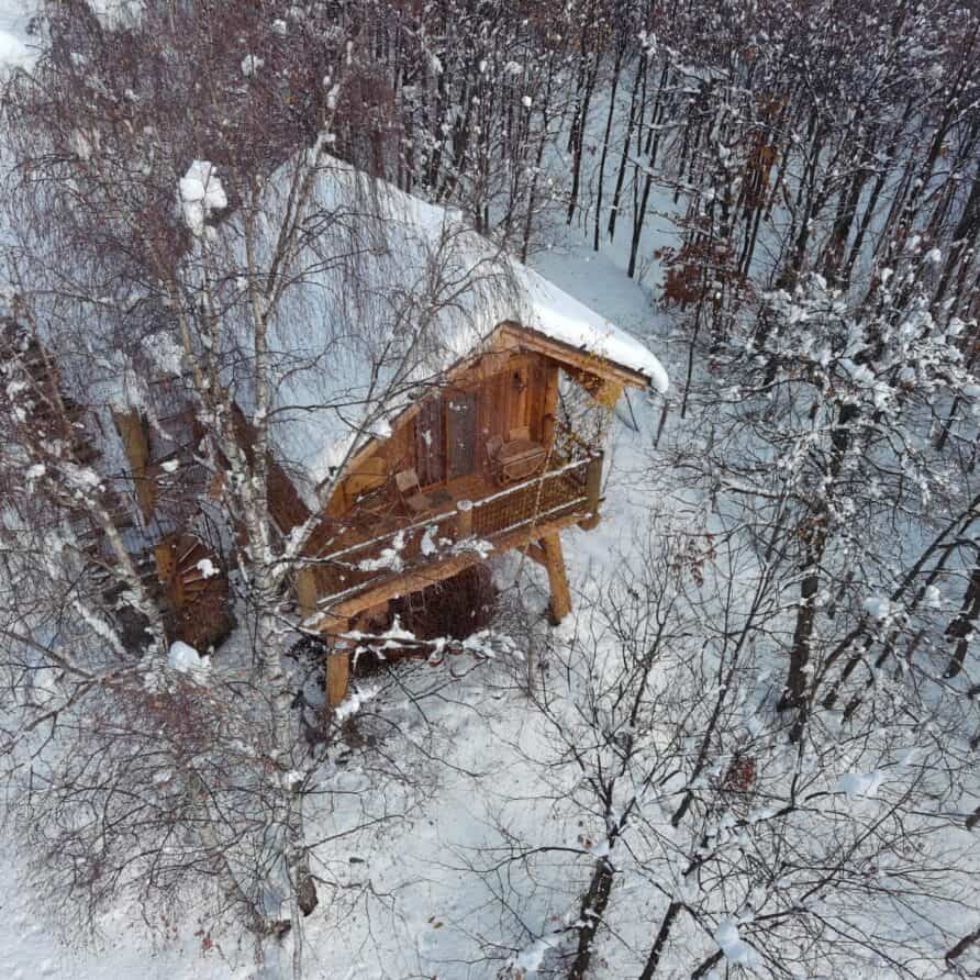 Casetta sul albero betulla