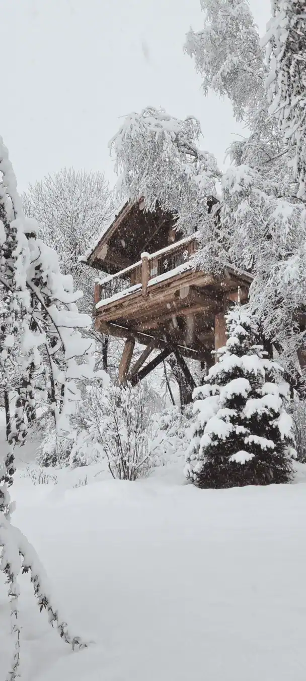 Casetta sull'albero betulla Pamparato